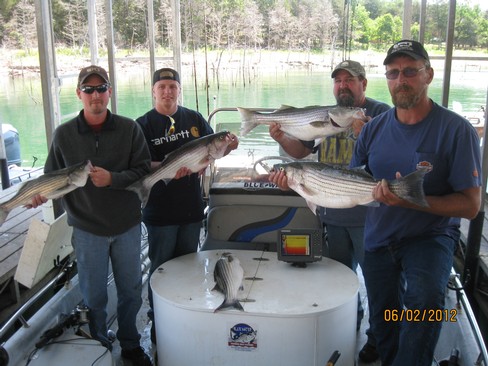 Nice Striped Bass