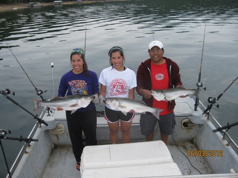 Nice Striped Bass