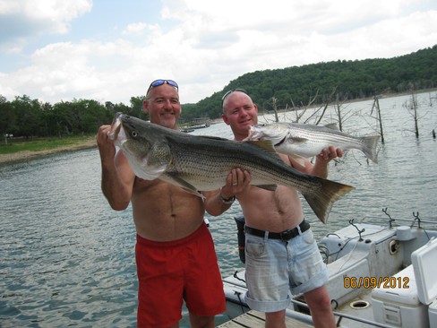Nice Striped Bass