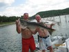 (06/09/2012) - Nice Striped Bass
