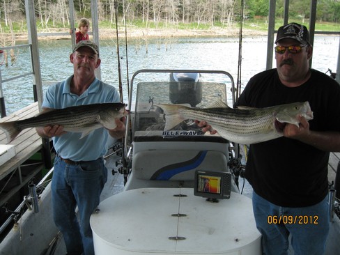 Nice Striped Bass