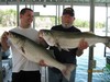 (06/10/2012) - Nice Striped Bass