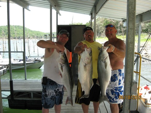 Nice Striped Bass