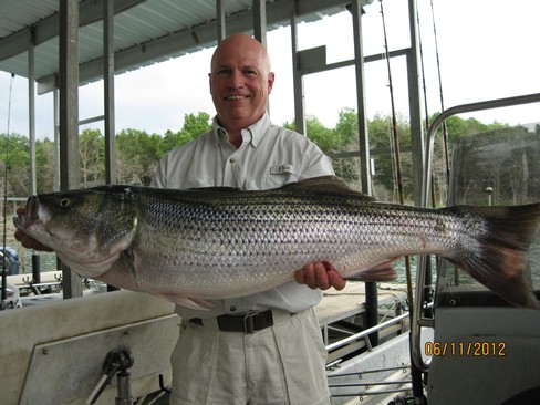 Nice Striped Bass
