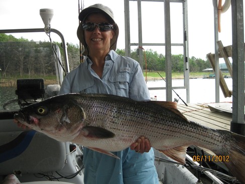 Nice Striped Bass