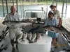 (06/11/2012) - Nice Striped Bass