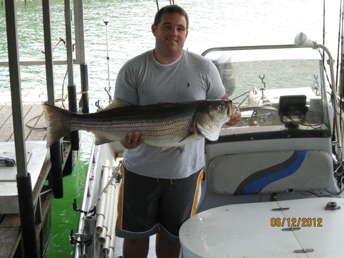 Nice Striped Bass