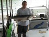 (06/12/2012) - Nice Striped Bass
