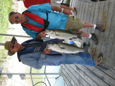 Nice Striped Bass