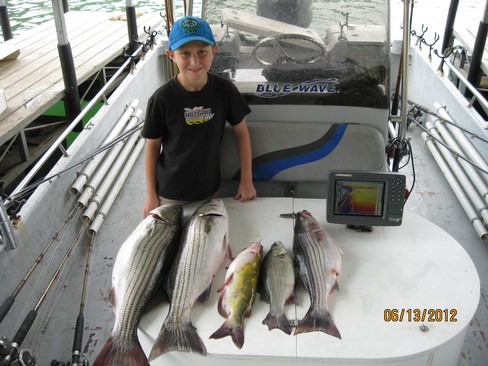 Nice Striped Bass