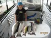 (06/13/2012) - Nice Striped Bass