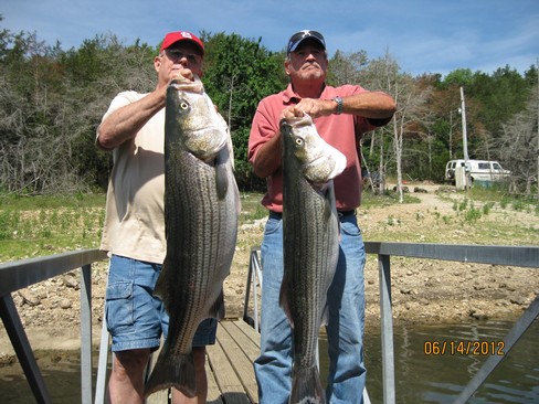 Nice Striped Bass