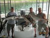 (06/15/2012) - Nice Striped Bass
