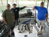 (06/15/2012) - Nice Striped Bass