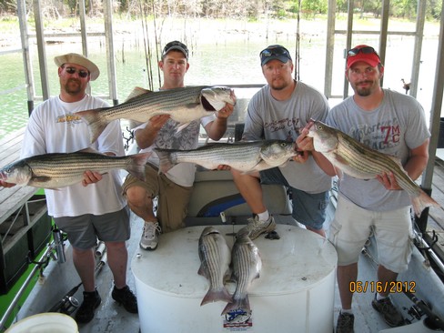 Nice Striped Bass