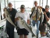(06/17/2012) - Nice Striped Bass