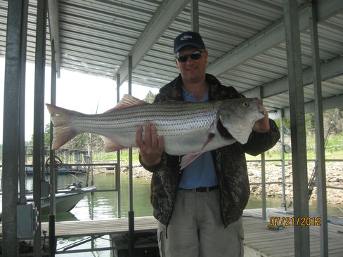 Nice Striped Bass