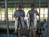 (06/22/2012) - Nice Striped Bass