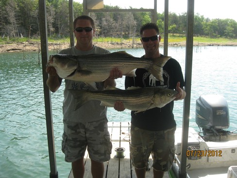 Nice Striped Bass