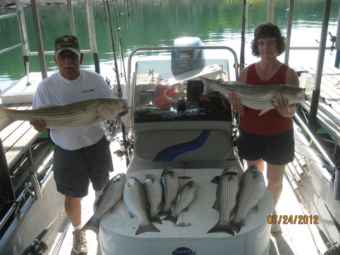 Nice Striped Bass