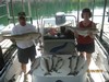 (06/24/2012) - Nice Striped Bass