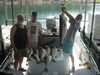 (06/25/2012) - Nice Striped Bass