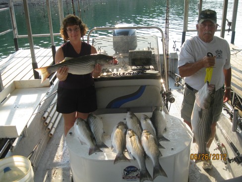 Nice Striped Bass