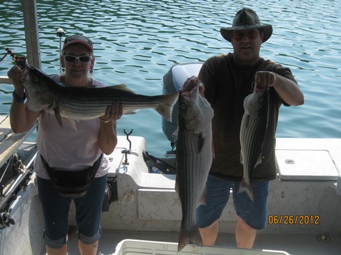 Nice Striped Bass