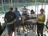 (06/27/2012) - Nice Striped Bass