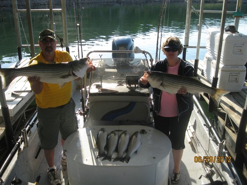 Nice Striped Bass