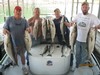 (06/28/2012) - Nice Striped Bass