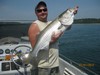 (07/01/2012) - Nice Striped Bass