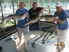 (07/05/2012) - Nice Striped Bass