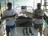 (07/06/2012) - Nice Striped Bass