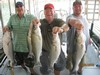 (07/06/2012) - Nice Striped Bass