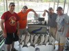 (07/07/2012) - Nice Striped Bass