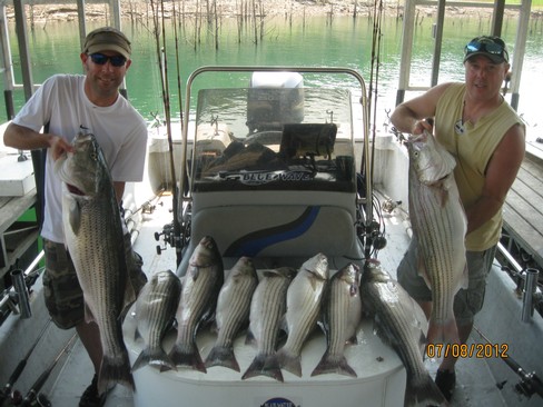 Nice Striped Bass