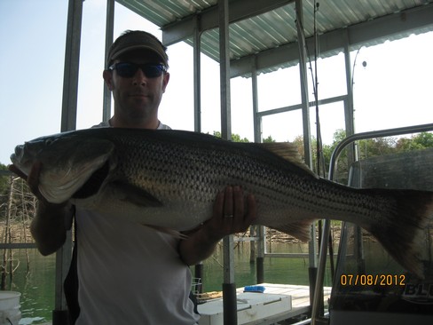 Nice Striped Bass