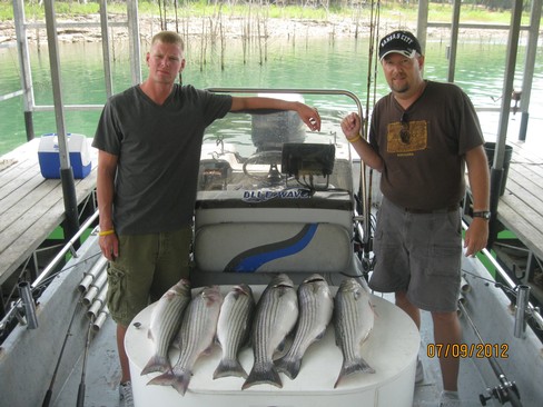Nice Striped Bass