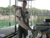 (07/10/2012) - Nice Striped Bass