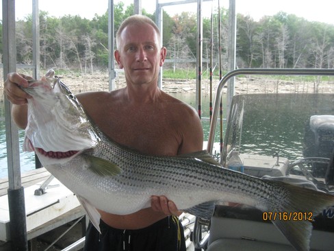Nice Striped Bass