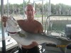 (07/16/2012) - Nice Striped Bass