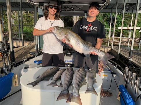 Nice Striped Bass
