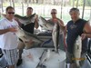 (07/18/2012) - Nice Striped Bass