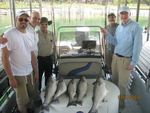 Nice Striped Bass