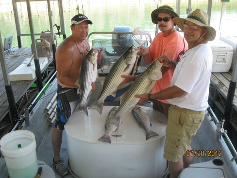 Nice Striped Bass