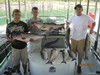 (07/21/2012) - Nice Striped Bass