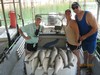 (07/21/2012) - Nice Striped Bass