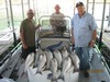 (07/22/2012) - Nice Striped Bass