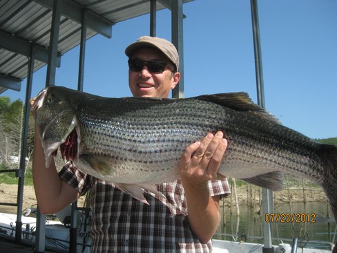 Nice Striped Bass